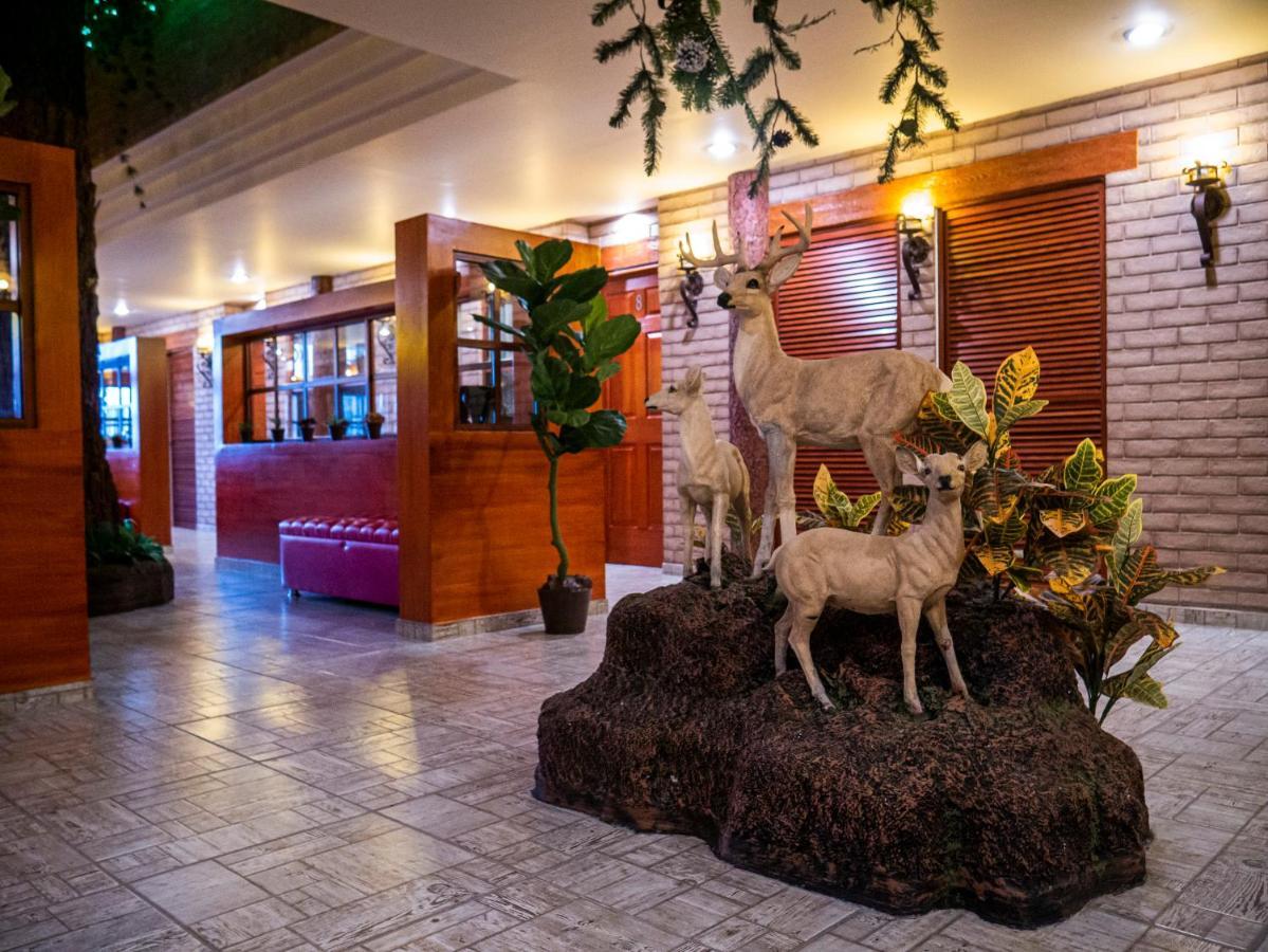 Hotel El Condor Cortazar Exteriör bild